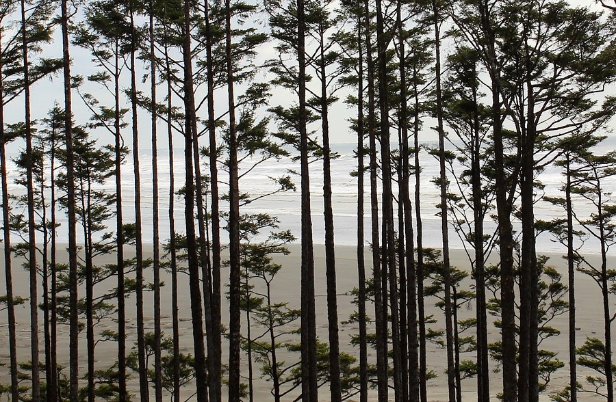 Washington Land for Sale Land of Land, Inc.